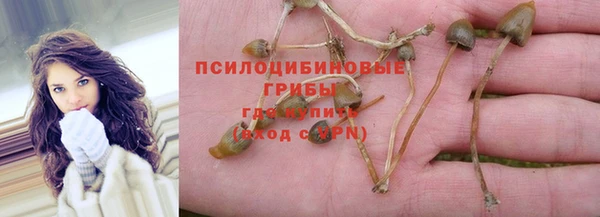 соль курить ск Инта