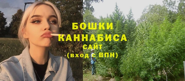 бутират Инсар