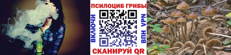 хочу наркоту  Коломна  Псилоцибиновые грибы Cubensis 